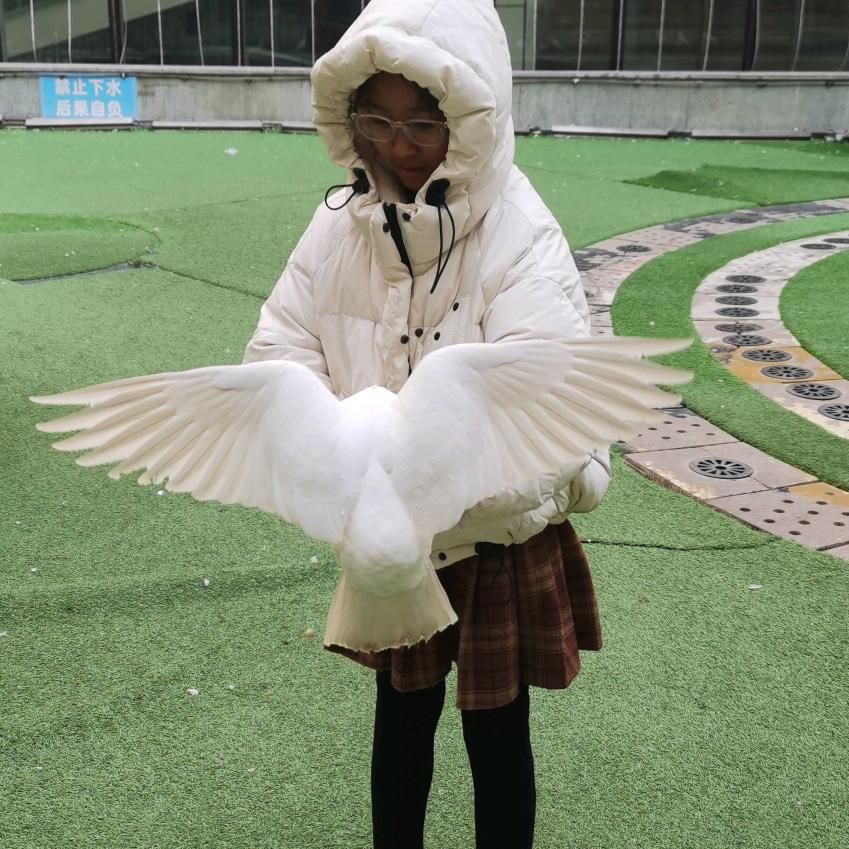蜜糖宝