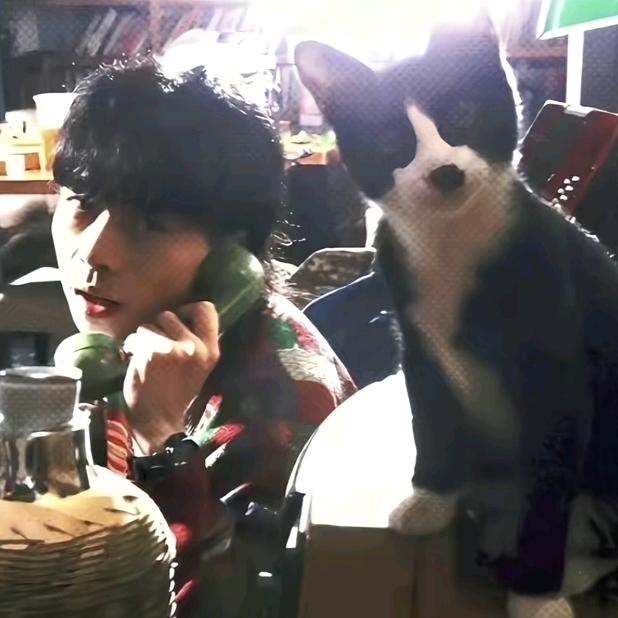 尼古丁才是救赎