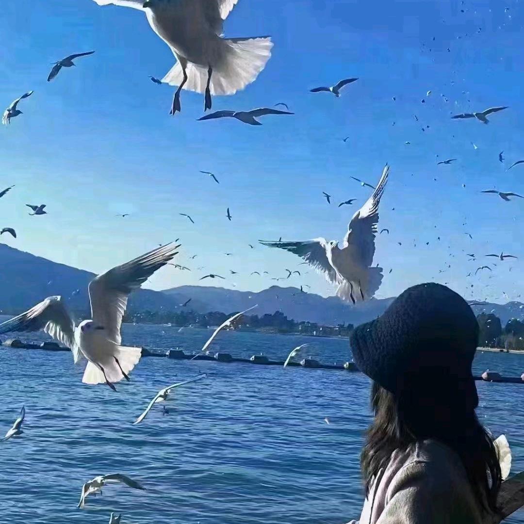 云二昆明桀的桀咨询