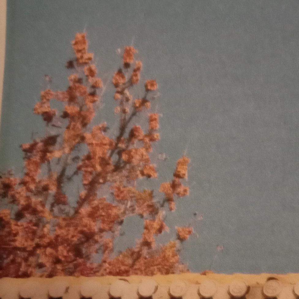 一个人(没人疼)