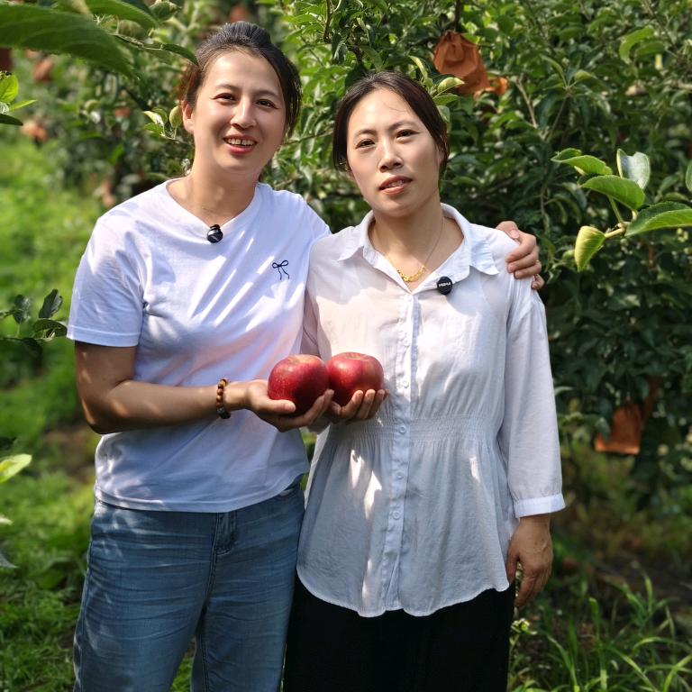 乳山肖家村苹果姐妹花