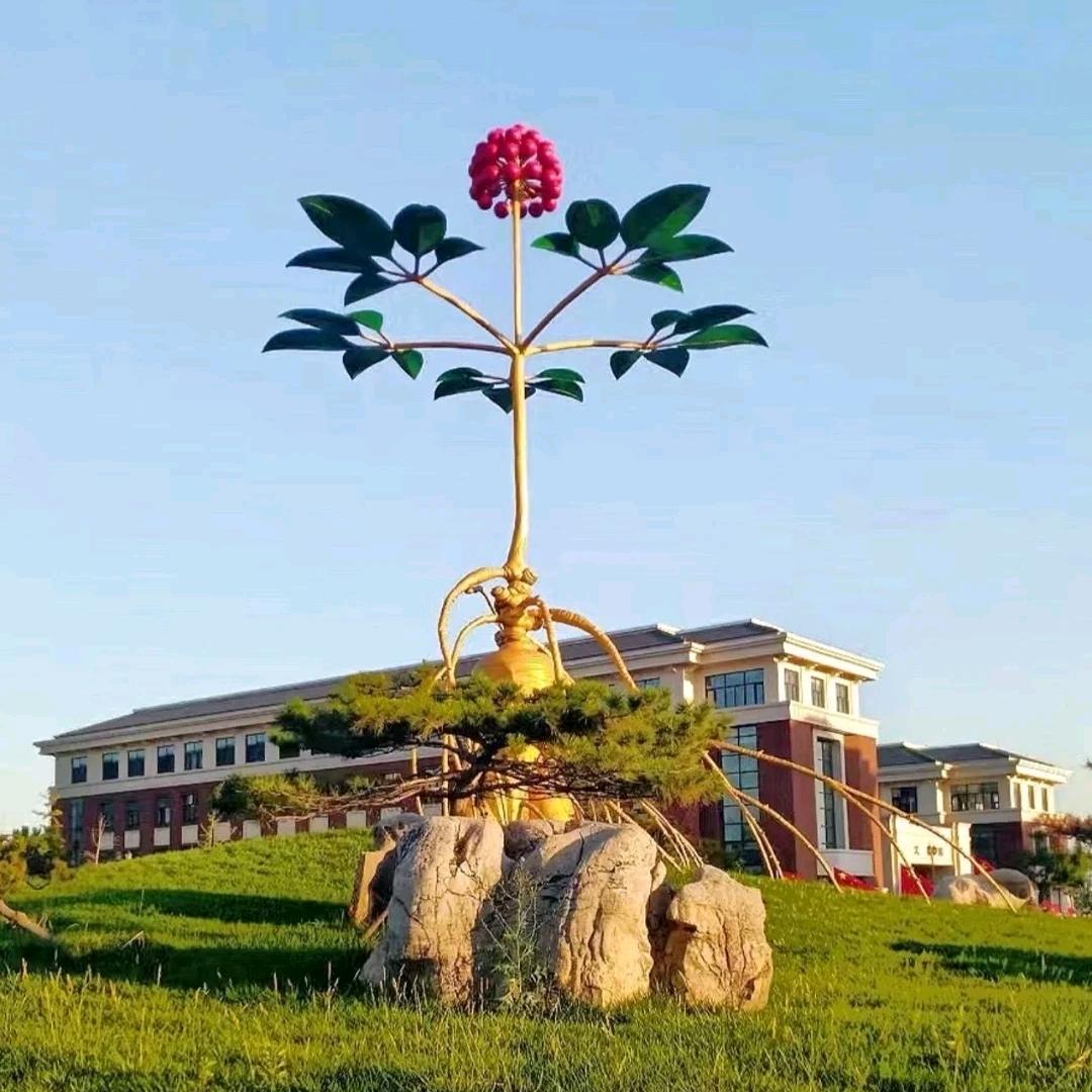 天津中考升学规划