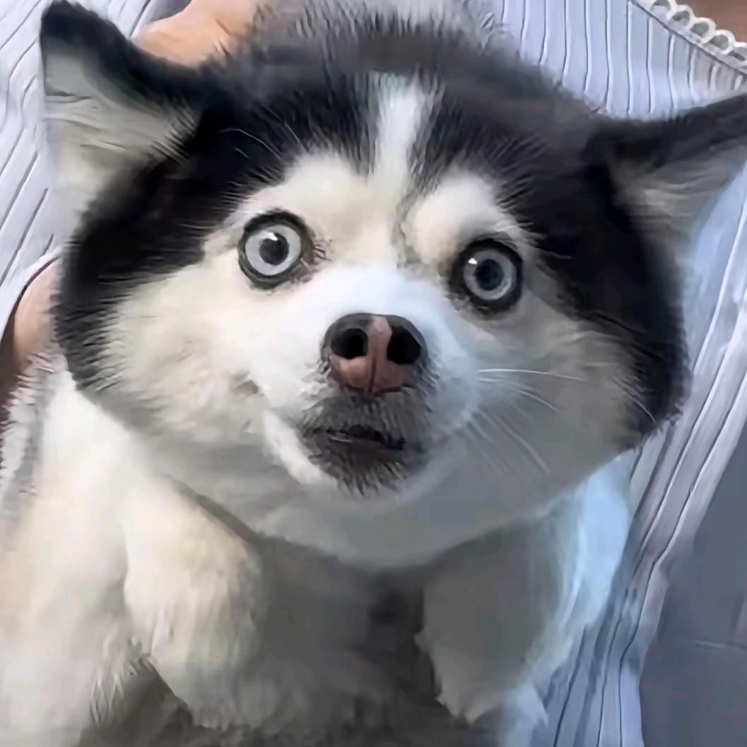 ᥫᩣ.𝙡̶𝙤̶̶̶𝙫̶̶̶𝙚