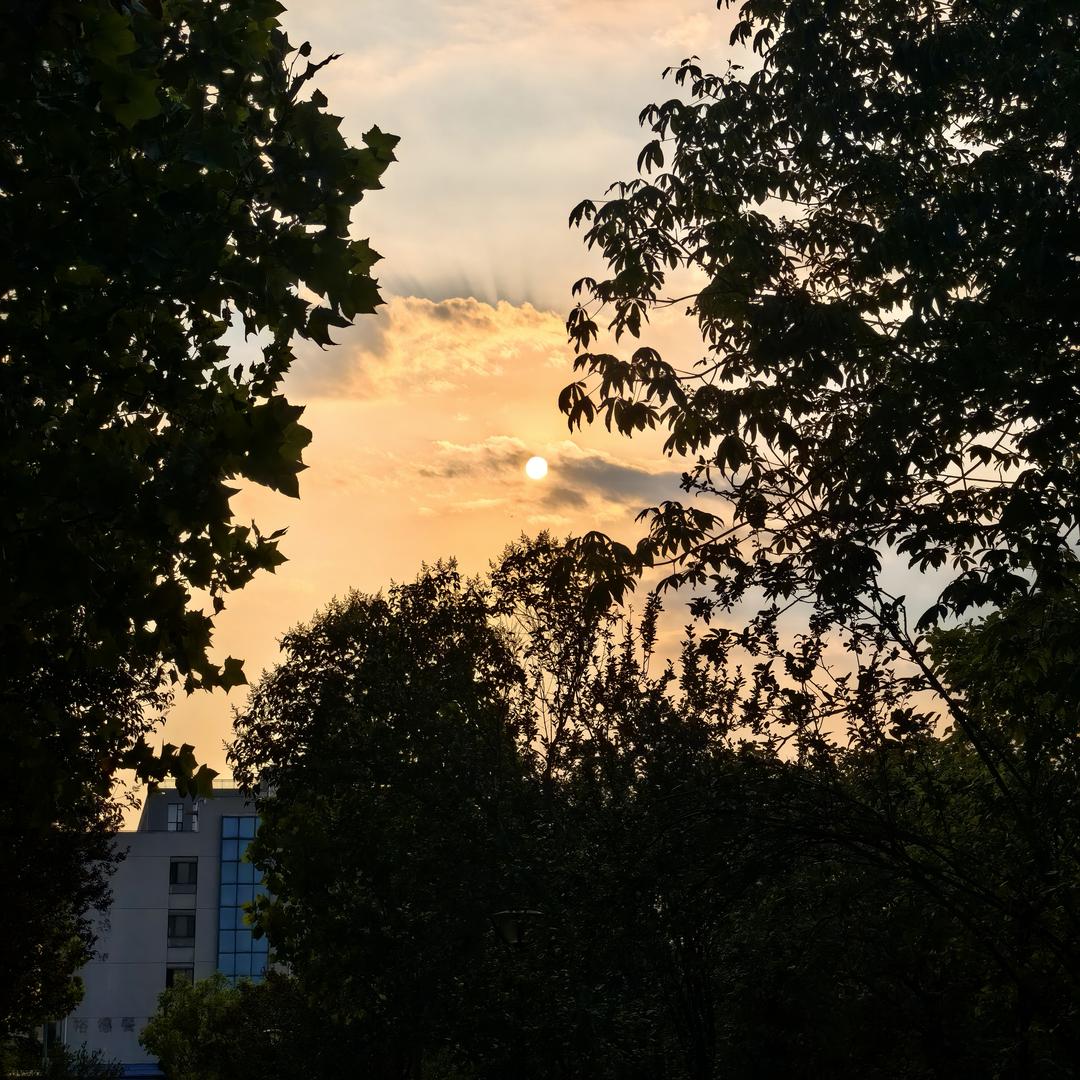 mon