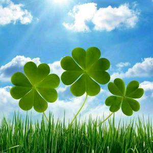 🍀漫步时光