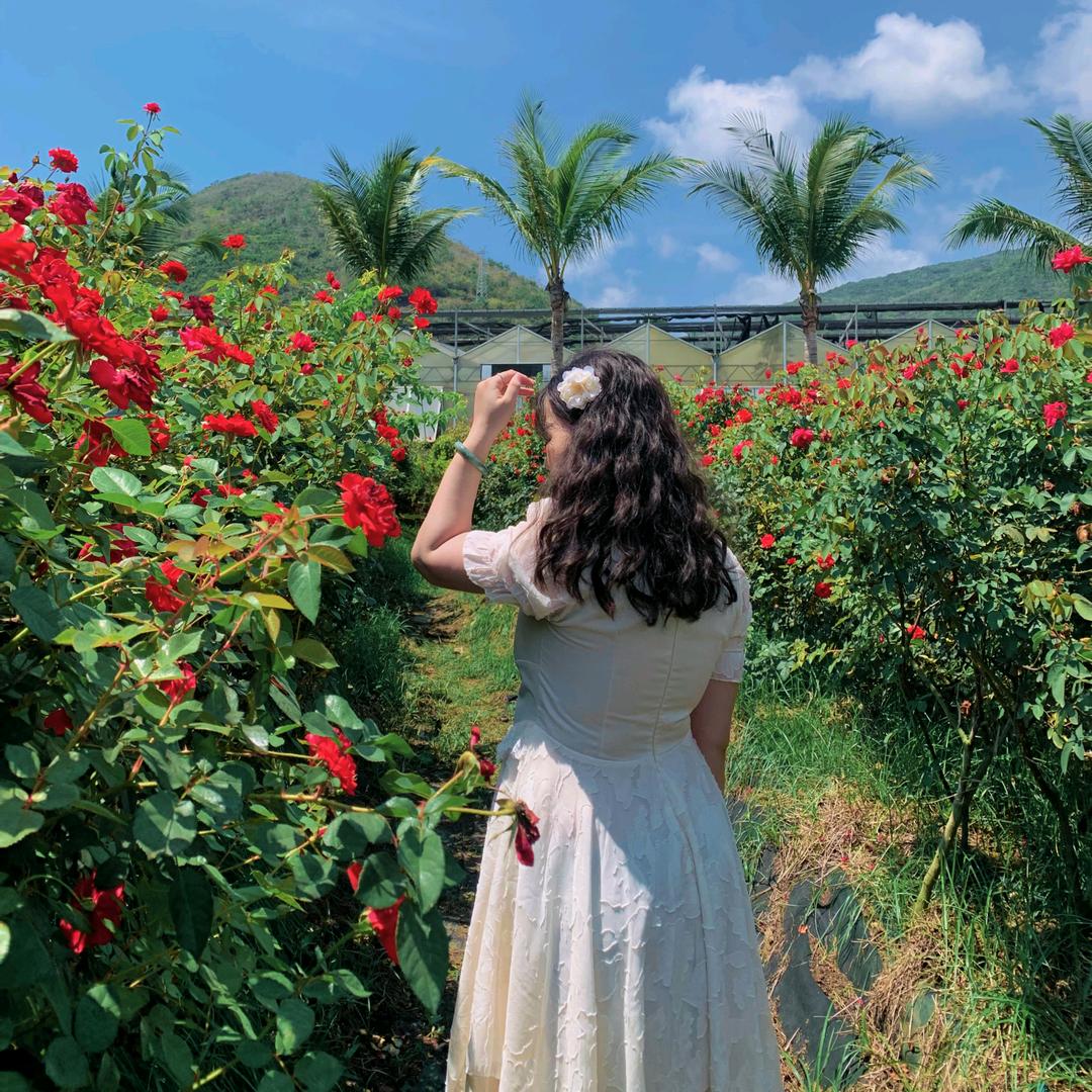 睡不着的泡泡糖：💤