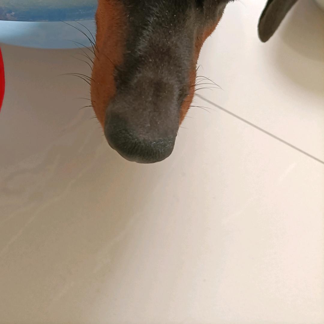 好看不好看