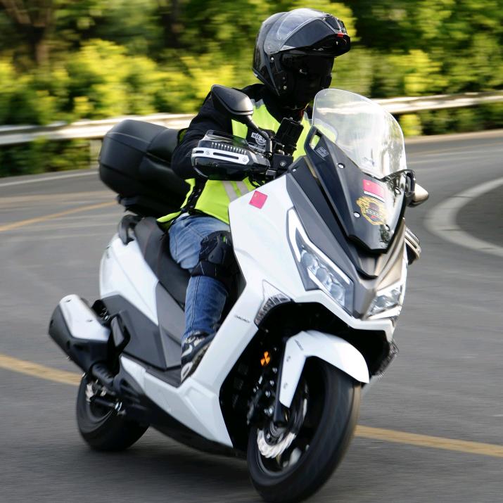 L·✨少帅（恋尚宠粮）