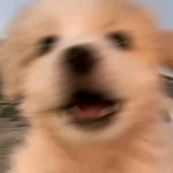 翻斗花园第一突破手🐮爷爷