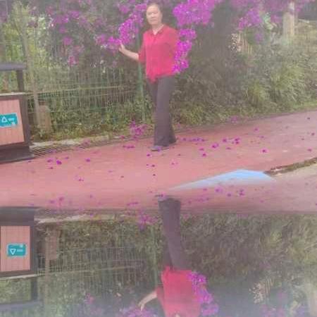李晓林