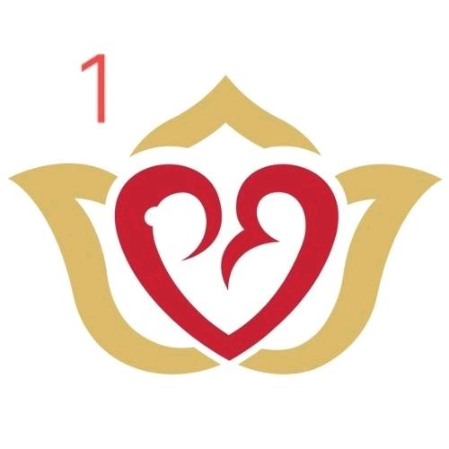 郑州万安妇产医院超声福利号