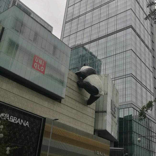 老何