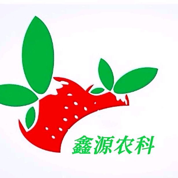 鑫源有机草莓种植园