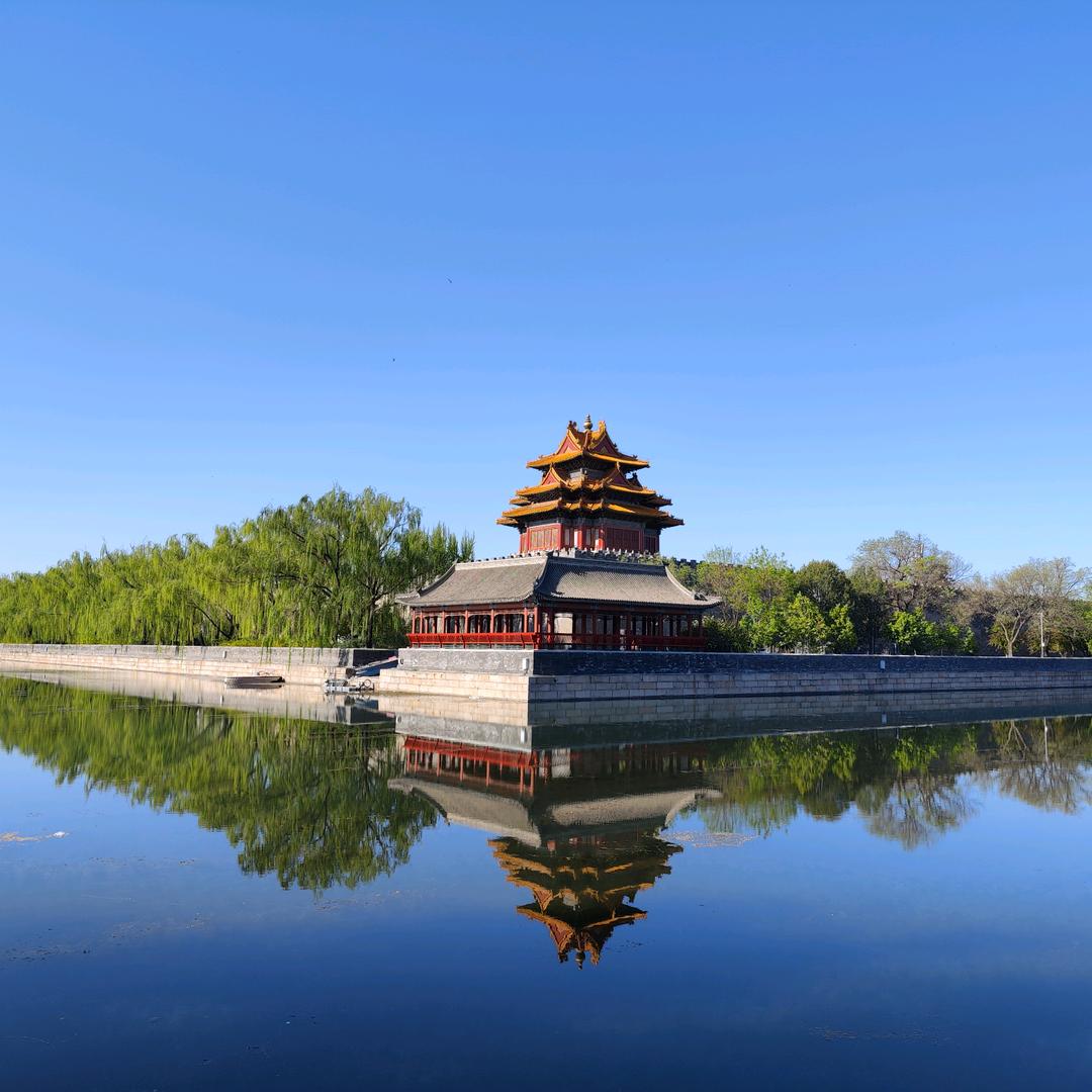没心没肺吃不饱