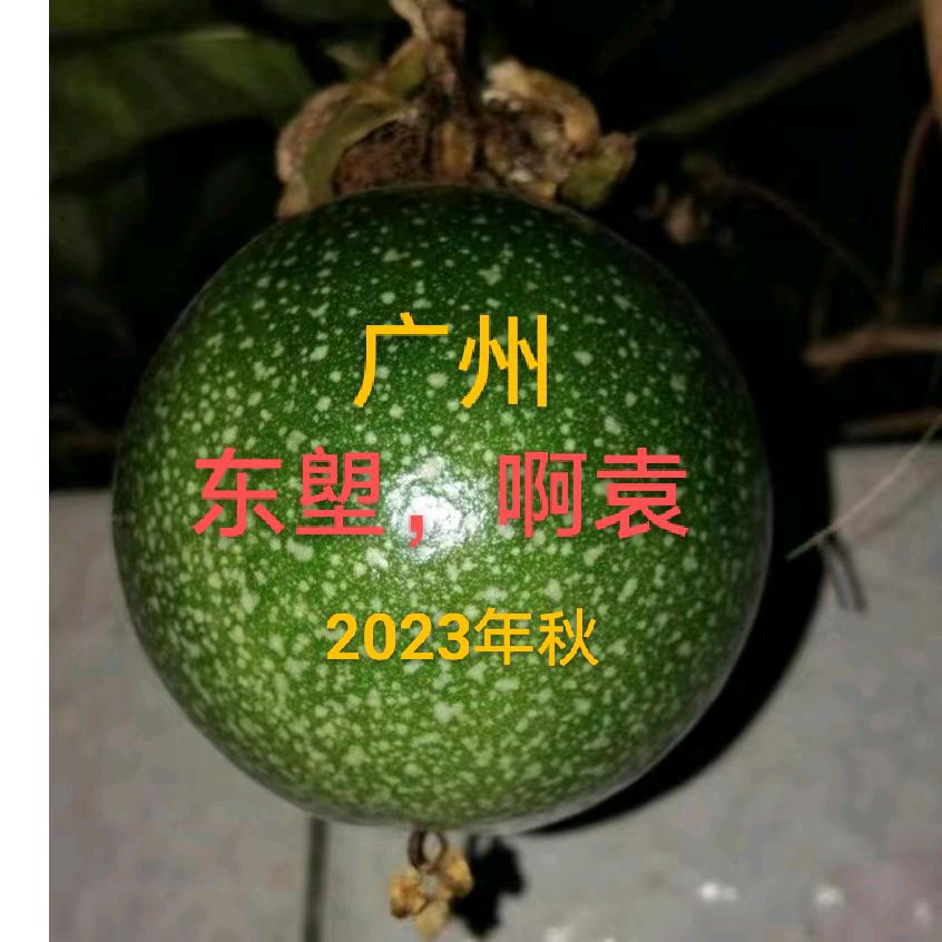 谢谢你给我的爱，有心千里来相会