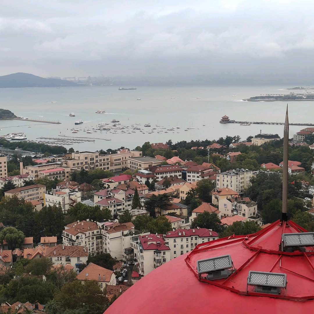 东仔（学历咨询）