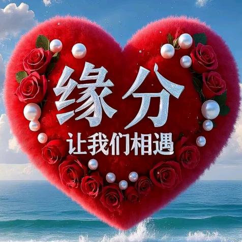 随缘668