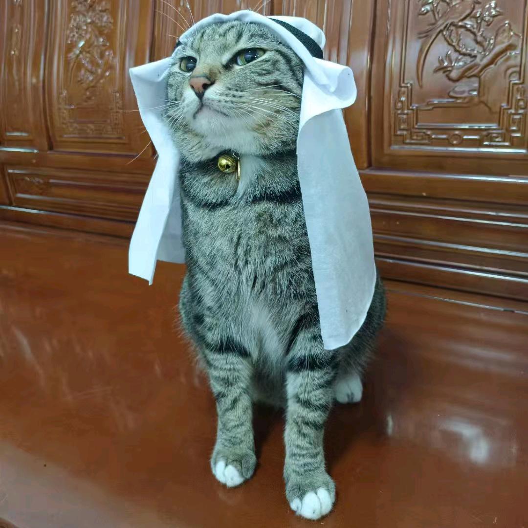 群弟