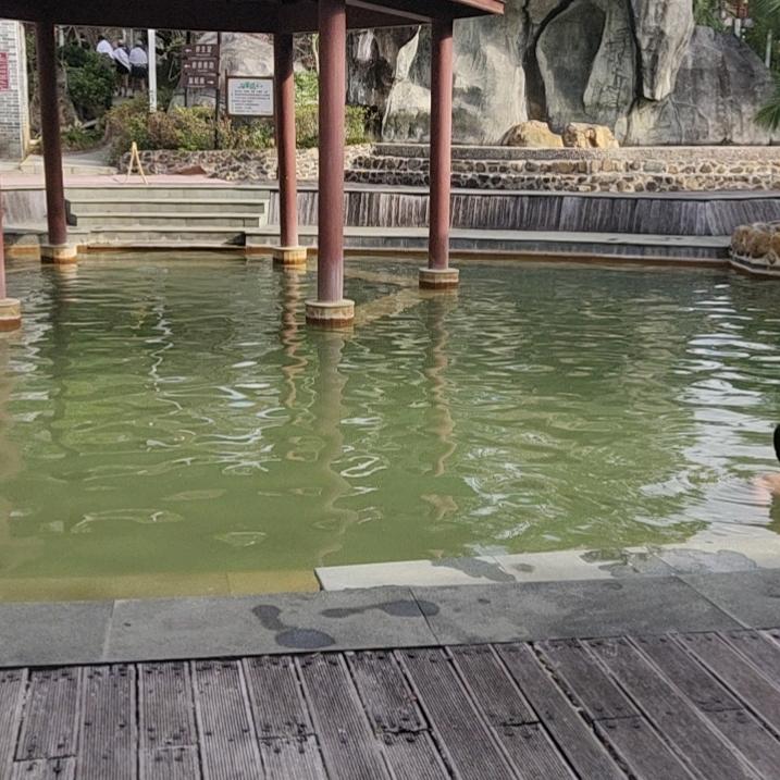 發發發
