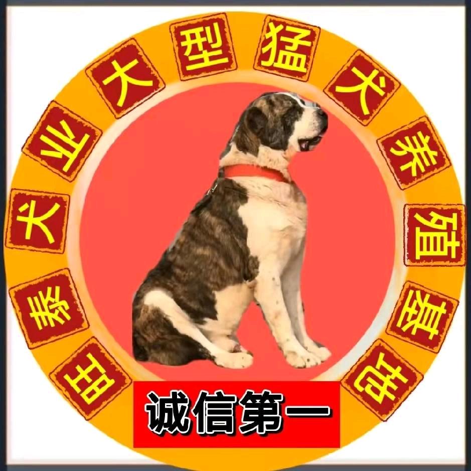 大型中亚养殖基地