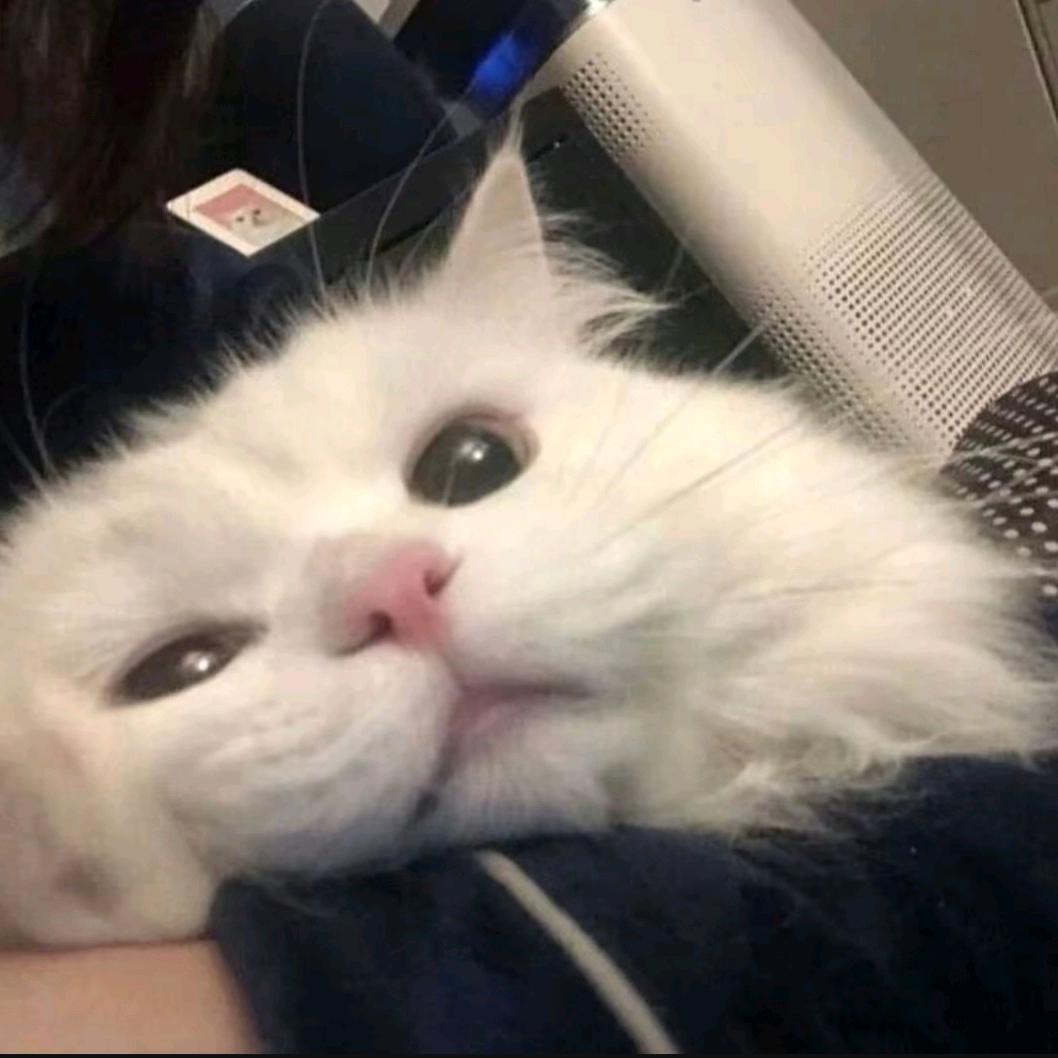 小南