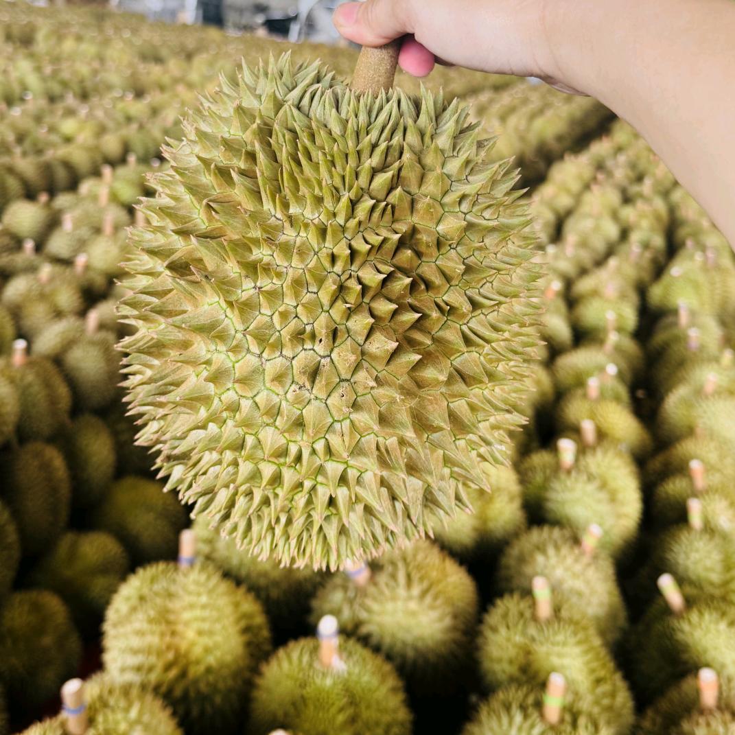 西昌榴你欢心水果店（芳）