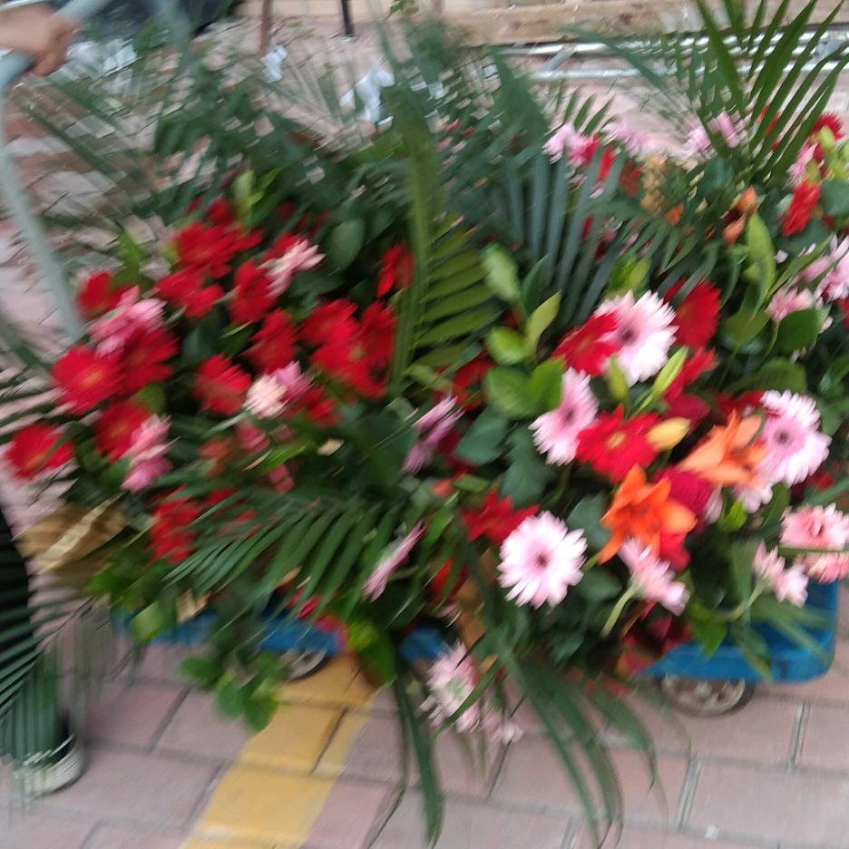 用户878495257340
