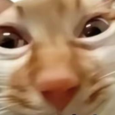 山西迫杰