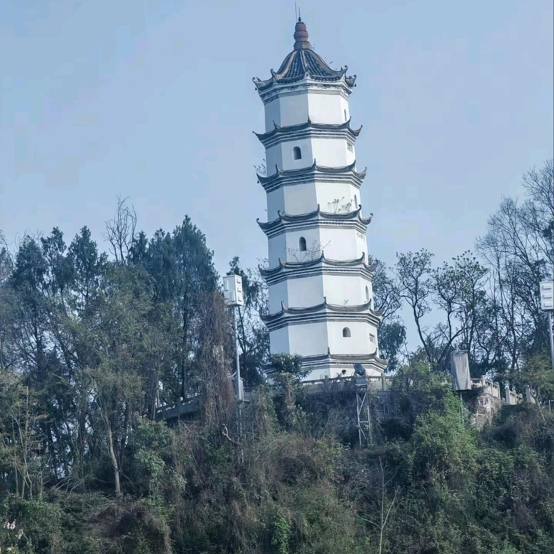 戒酒