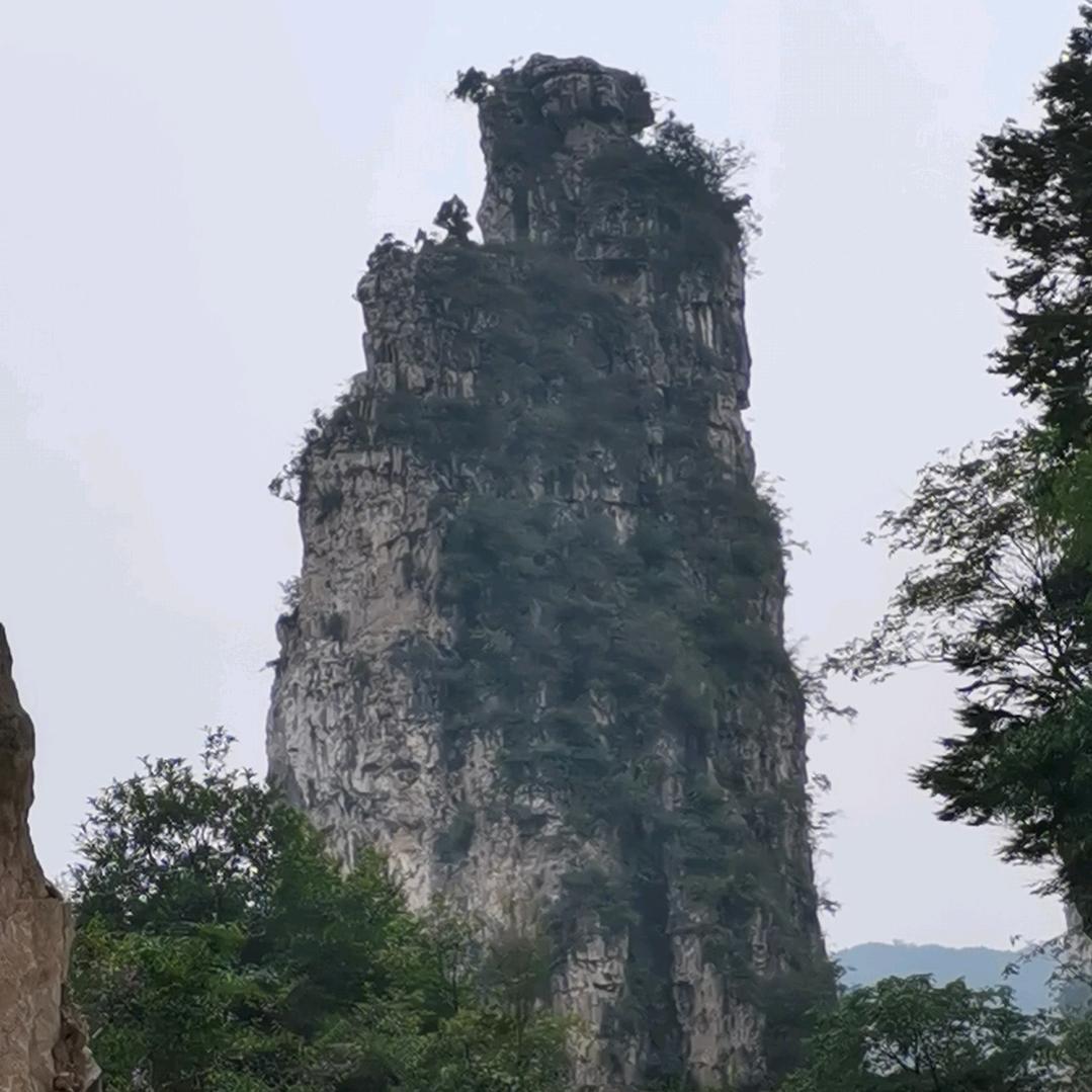 明天会更好