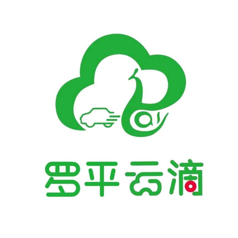 罗平云滴.网约车