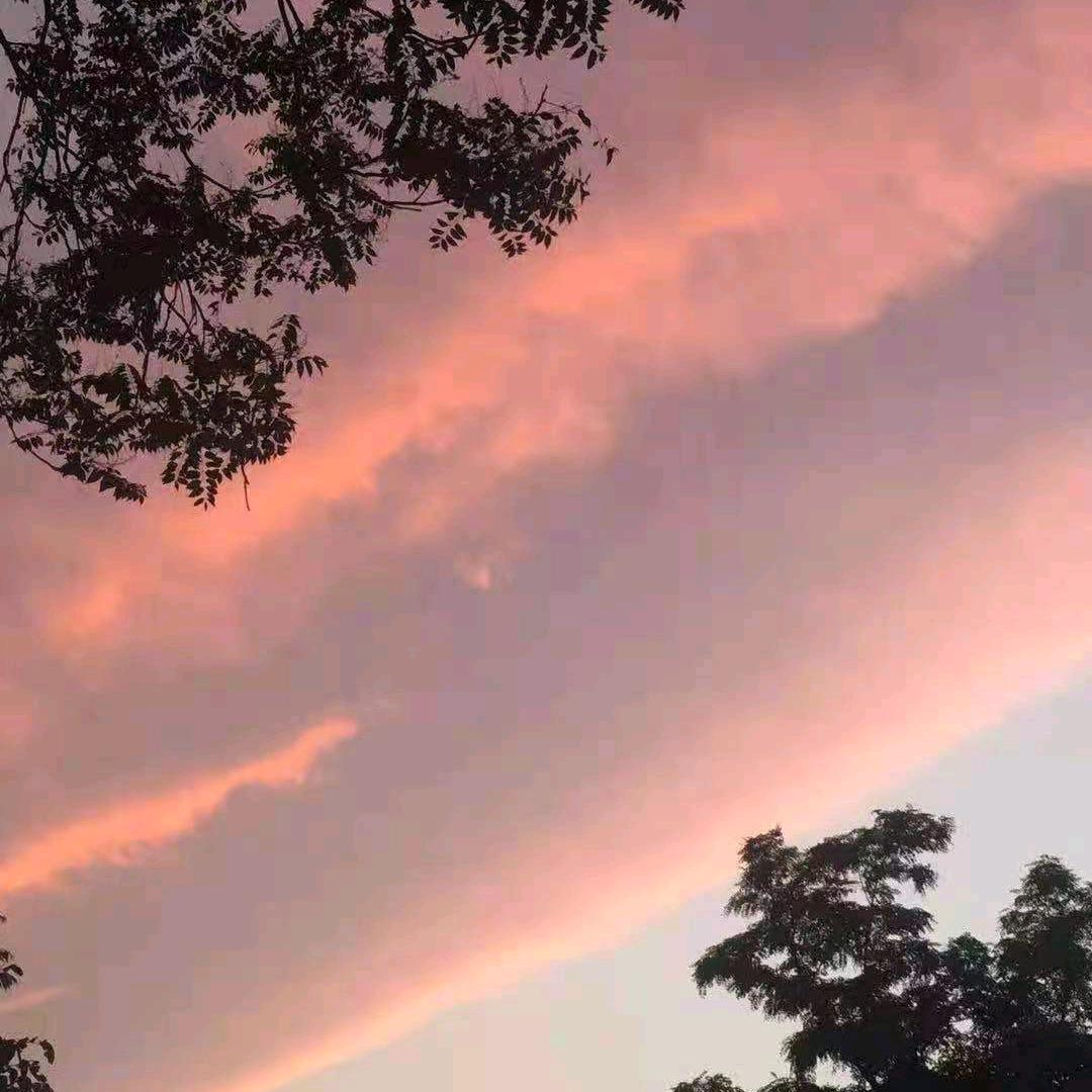 🌈sun了个晒🌈