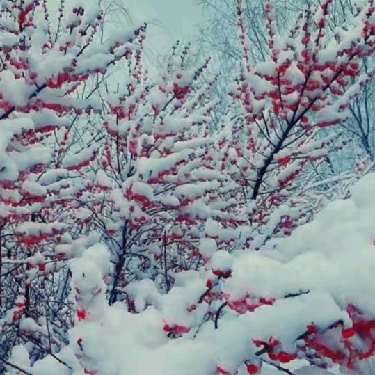 (最熟悉的陌生人）