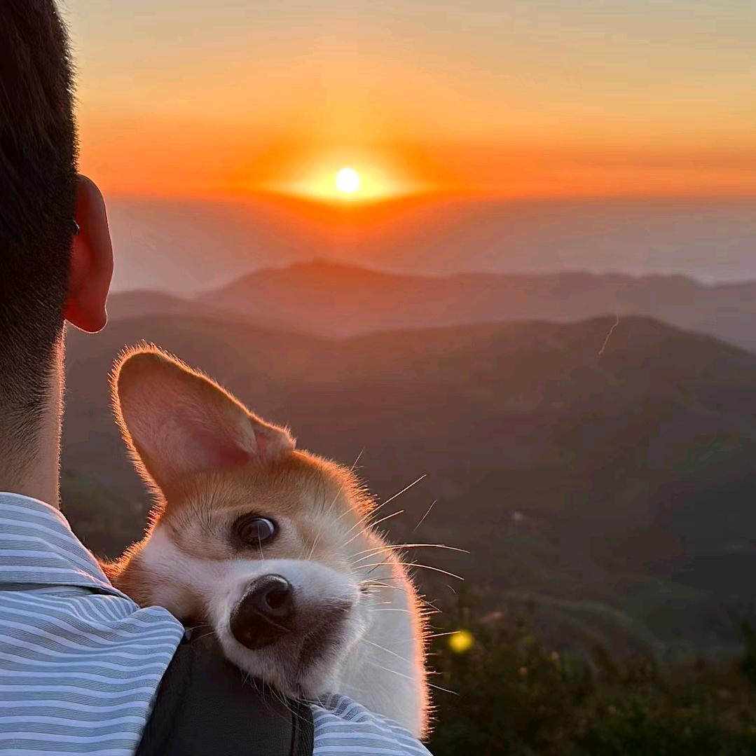 摘颗星⭐️