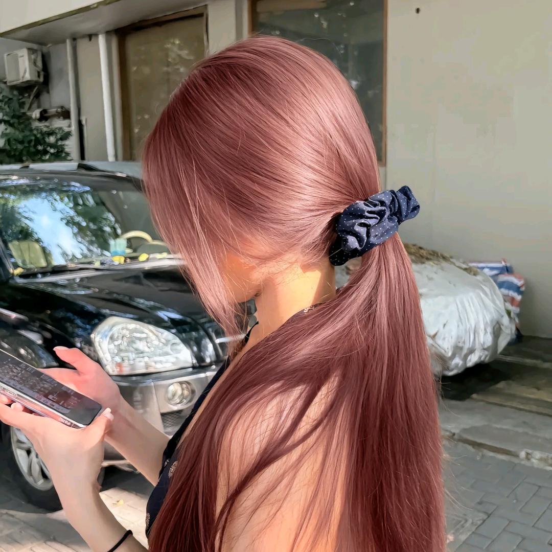 笨蛋