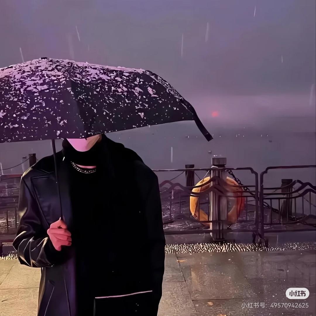 星河璀璨（封票中）