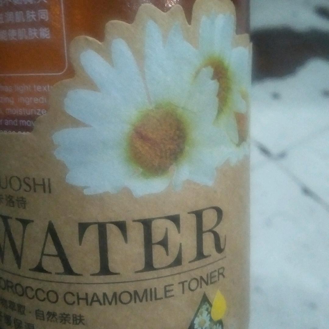 新主播