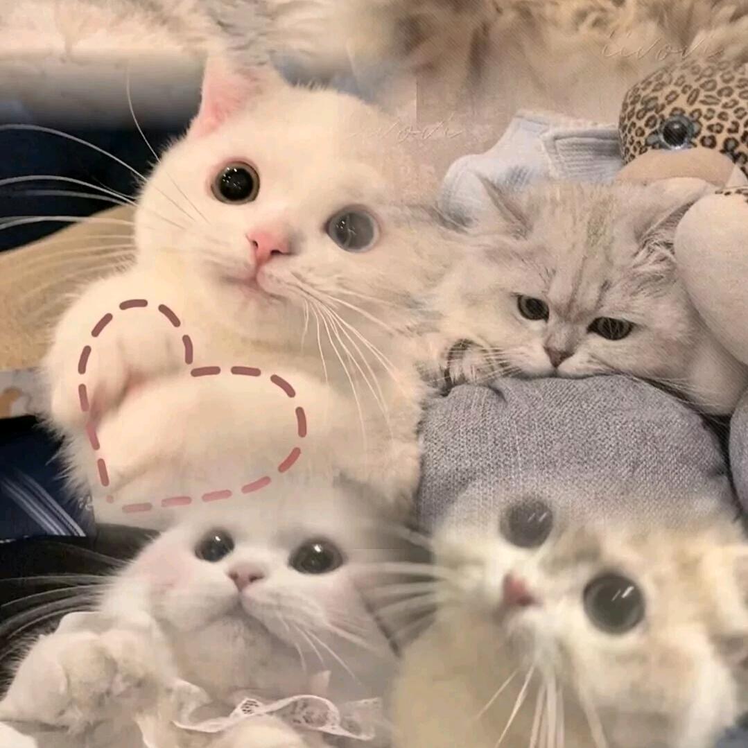 宇杰