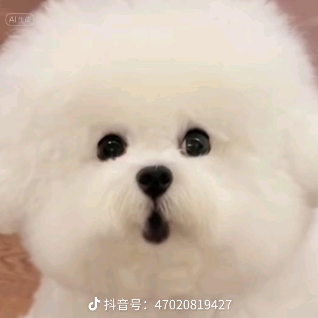 @༊🌺ꦿ꯭꧔ꦿ᭄王꧔ꦿএ᭄：💞ℒᎭℯ