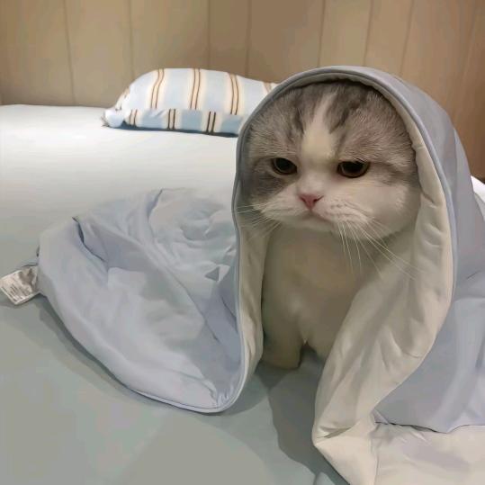 哭唧唧