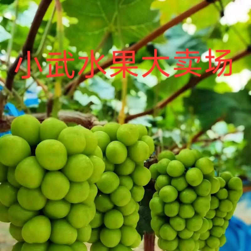 小武水果大卖场