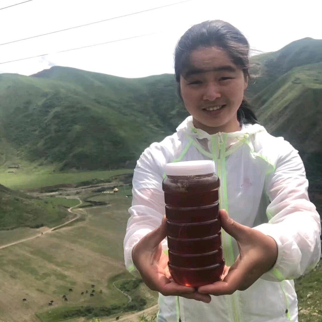 蜂旅人