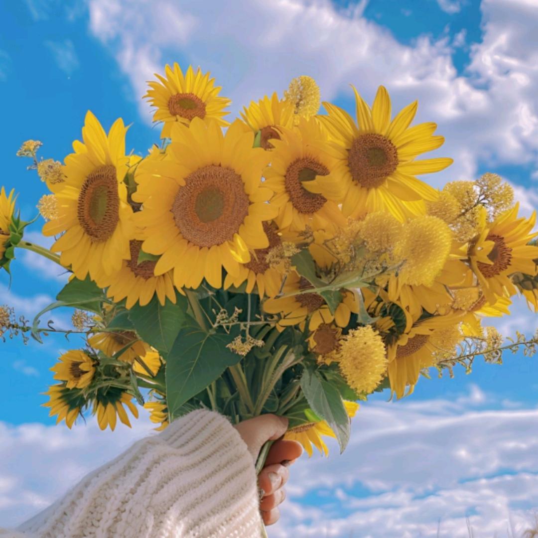 古月家政（旺旺）