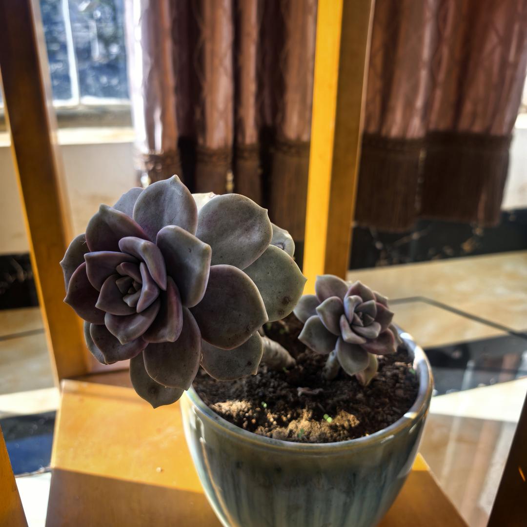 丽@@丽👑👑👑