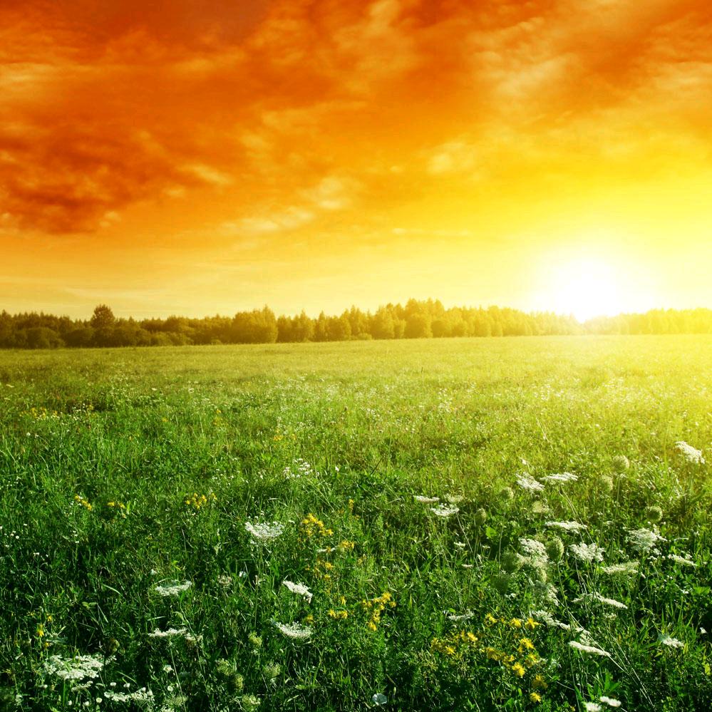 益民百货商贸官方号