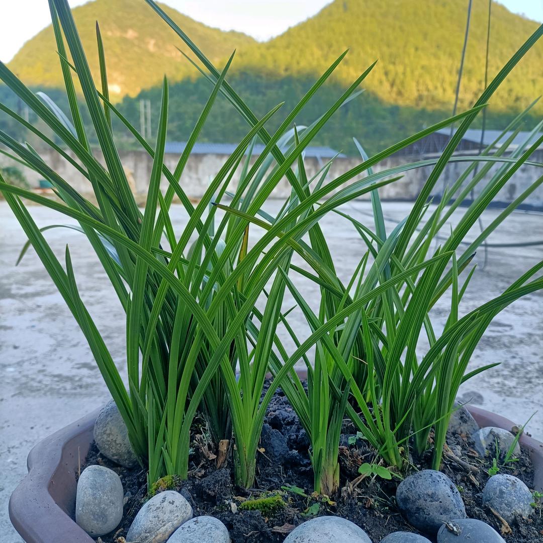 用户2920488061990加油奋斗