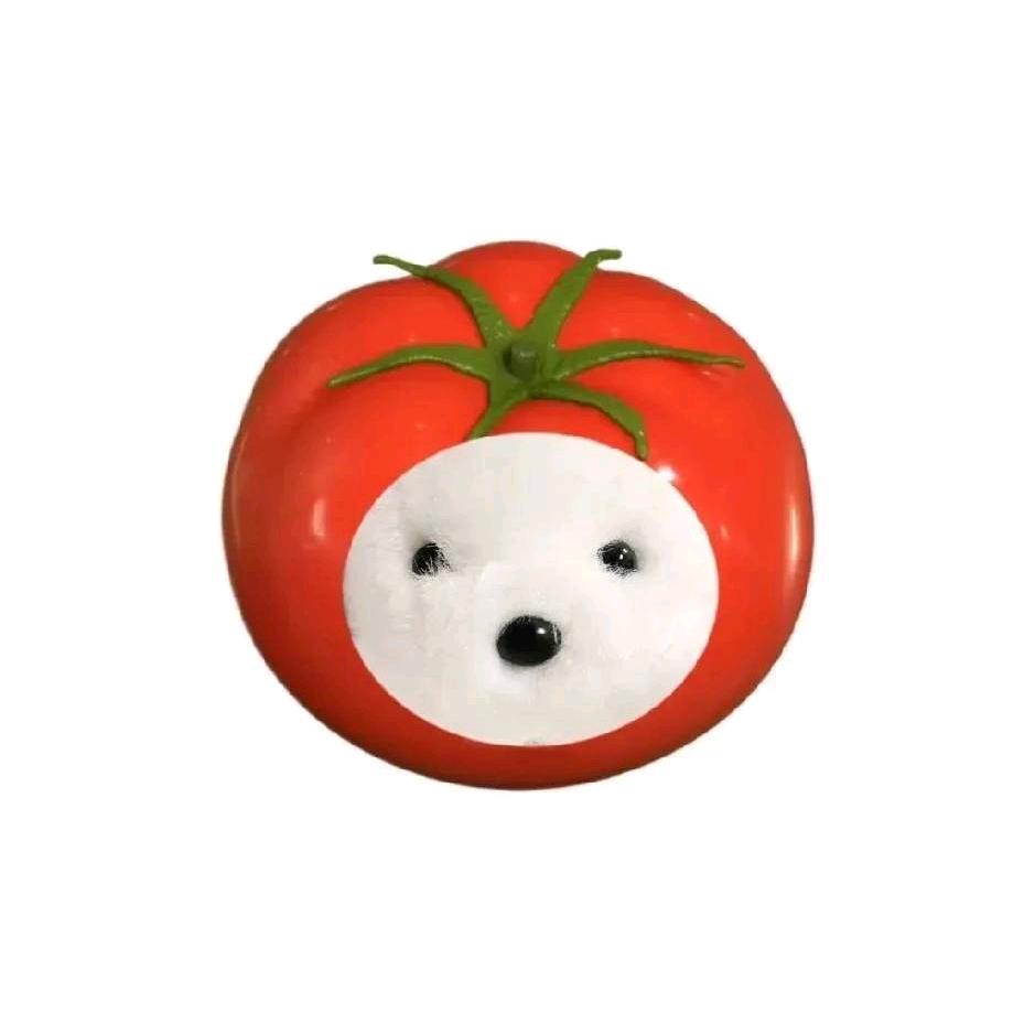 tomato