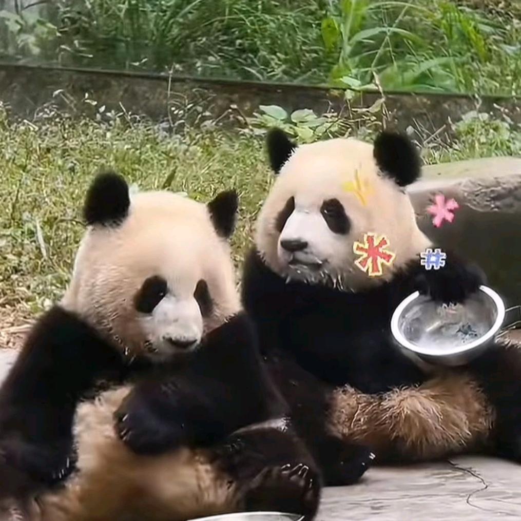 缘起缘灭缘终尽，花开花落花归尘