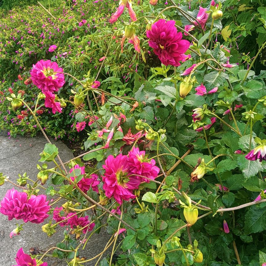 单身一人闯天涯