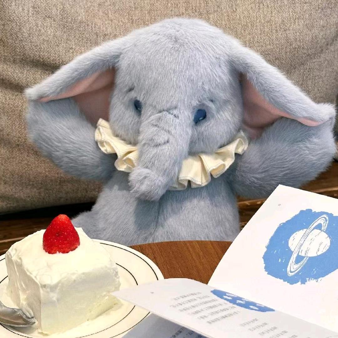 第一能飞的小象🐘